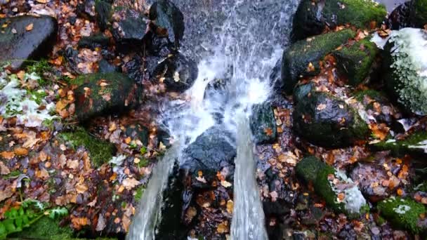 En vattenstråle faller ner, oskärpa vatten spegeln — Stockvideo