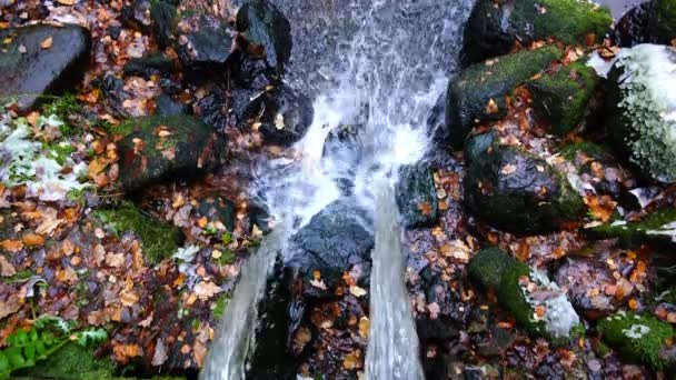 Un getto d'acqua cade, offuscando lo specchio d'acqua — Video Stock