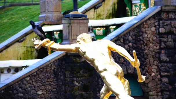 Krähe sitzt auf der Hand einer goldenen Statue — Stockvideo