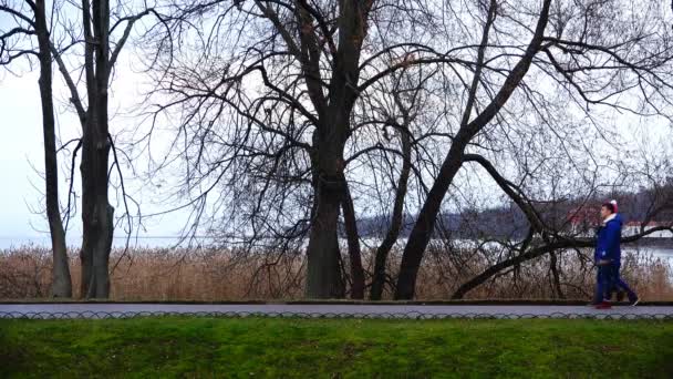 Verliebtes Paar spaziert romantisch die Promenade entlang — Stockvideo