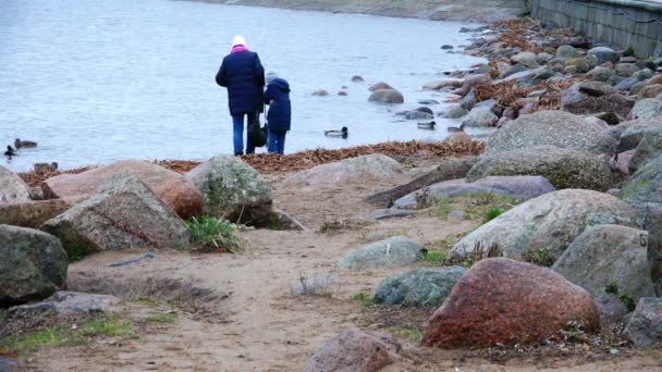 Rodič a dítě vyzkoušet vodu s jeho postavení rukou na pobřeží — Stock video