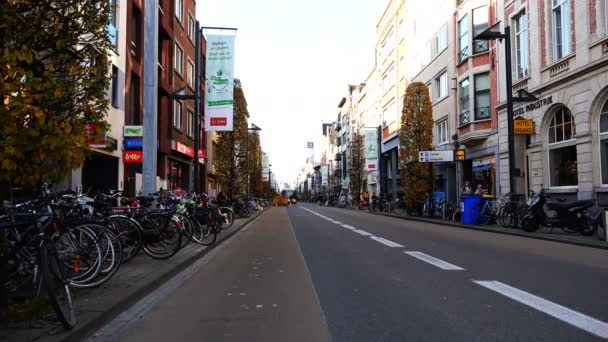 Ciclistas viajan por la calle frente al autobús — Vídeo de stock