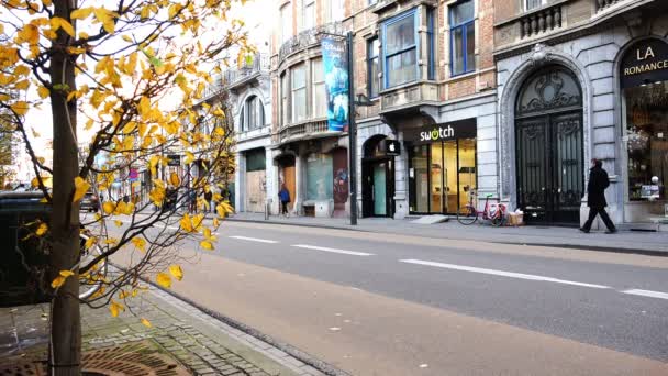 Un albero con foglie d'autunno gialle, riempie di luce e bellezza la strada grigia della città — Video Stock