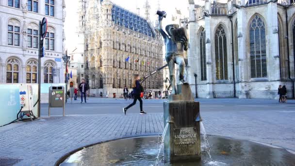 Steinskulptur in Form eines Brunnens auf dem zentralen Platz der Stadt Leuven — Stockvideo