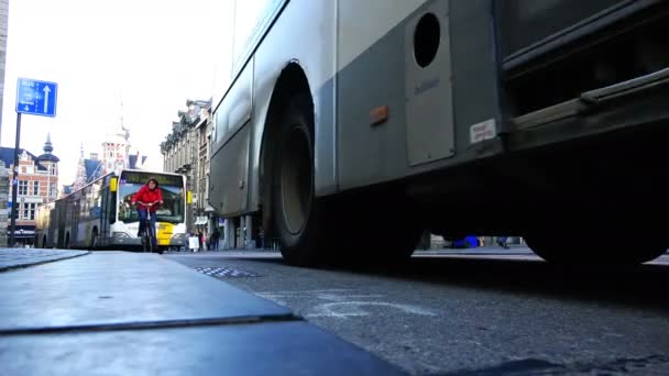 En passant des bus dans la rue avec des cyclistes — Video