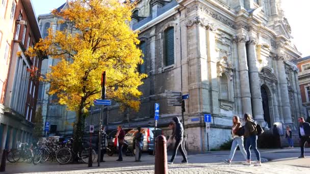 Un árbol con hojas de color amarillo brillante cerca del antiguo edificio de la época zarista — Vídeos de Stock