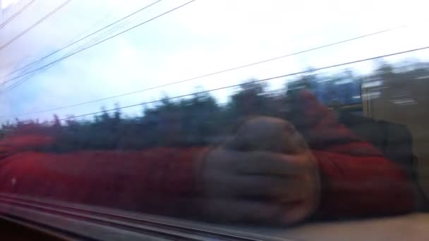 ウォーキングの列車の窓から自然を見ている男 — ストック動画