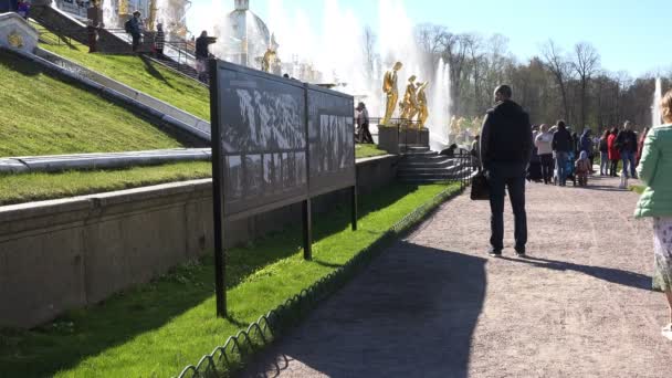 Un homme se tient près du stand avec des affiches dans le parc — Video