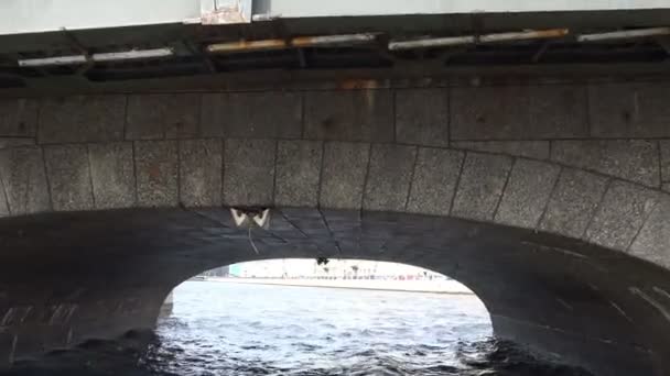 Visa från den motoriska shipen passerar under taklägga av bron — Stockvideo