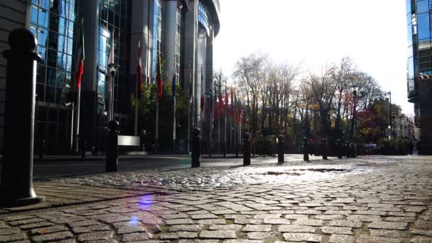 フラッグ ポールでさまざまな国の国旗は、ブリュッセルで欧州連合の建物の近くの風から開発します。 — ストック動画