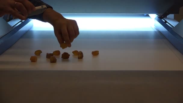 Translucence by light of valuable ornamental stones on a white conveyor belt — Stock Video