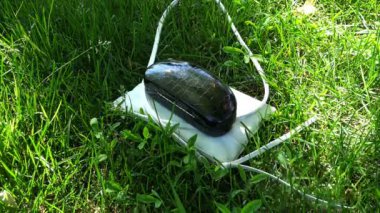 eller gözlük gözlük siyah bir durumda bir beyaz deri çanta koymak