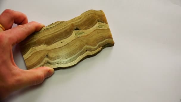 Una piedra en forma de árbol cortado y un fósil en forma de triángulo — Vídeos de Stock