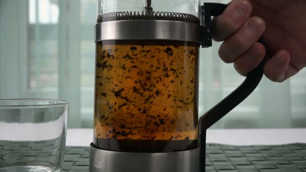 Chaotic movement of tea leaves in a transparent kettle — Stock Video