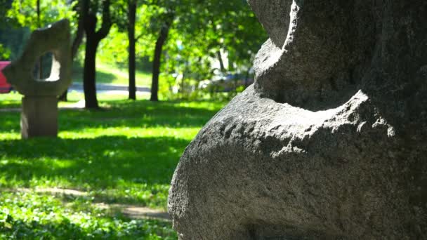 Forest park stedelijk gebied met stenen figuren — Stockvideo