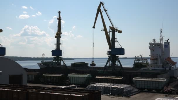 Grues au poste d'amarrage transporter des marchandises du navire — Video