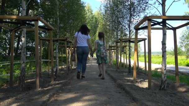 A girl and her mother are walking along the alley of young birch trees — Stock Video
