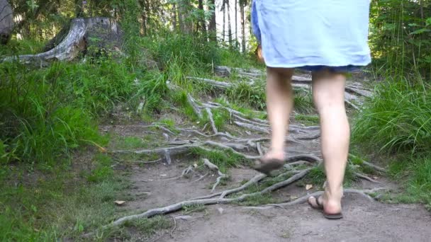 En flicka i tofflor promenader längs stora trädrötter — Stockvideo