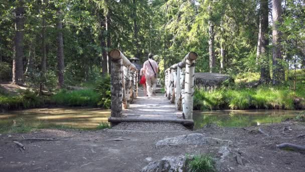 Turistas pasan a través de un puente de madera sobre el arroyo — Vídeo de stock