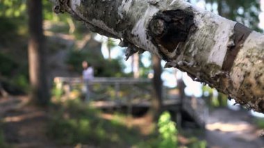 arka planda bir turist bir selfie telefonda alır.