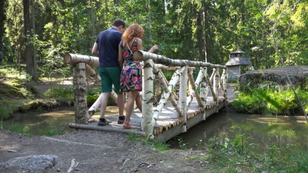 Una joven pareja caminando sobre un puente de madera en el parque — Vídeos de Stock