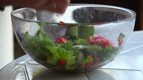 Chica comiendo con un tenedor ensalada de verano de verduras frescas — Vídeos de Stock