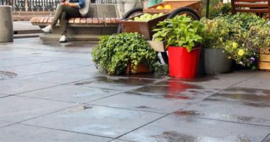 çiçek ve yeşillik geçenler feet ıslak asfalt üzerinde kovalar