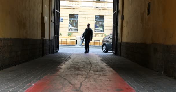 Arch courtyards with a red carpet — Stock Video