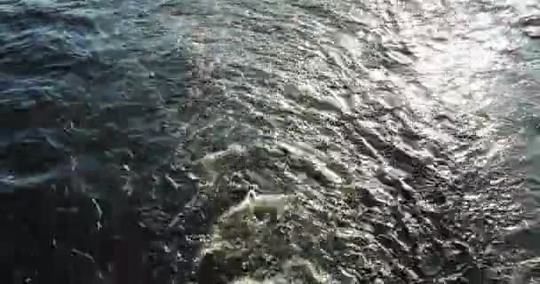 Un fleuve inquiet venant d'un navire qui passe — Video