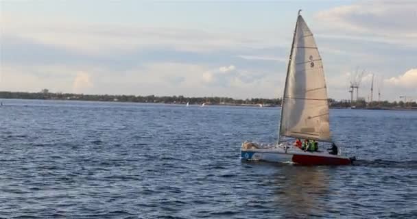 Segelboot fährt den Fluss entlang — Stockvideo