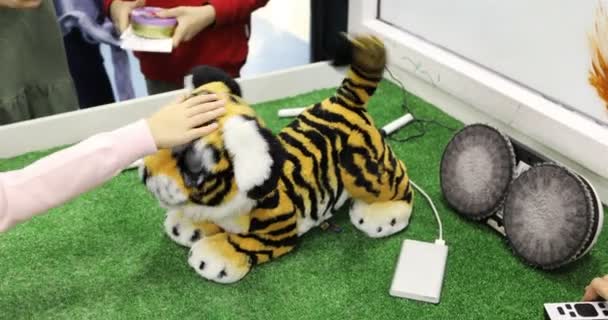 Robot juguete en forma de tigre pequeño está jugando con los niños — Vídeos de Stock