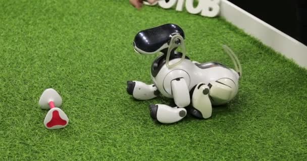 Robot-chien exécute les commandes avec l'os sur l'herbe — Video