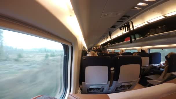 국경 경비대 서비스가 기차의 살롱을 걷고 있다. — 비디오