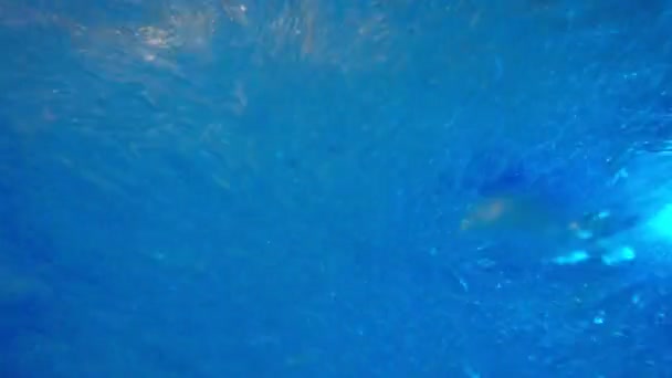 水はスポーツマンの足の上で泡立っている — ストック動画