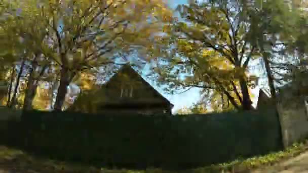 从车窗看 树上的黄绿色叶子的秋天风景 — 图库视频影像