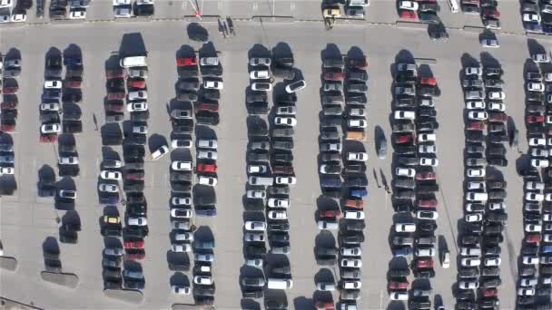 Multi-Seat asfalt parkeerplaats met auto's — Stockvideo