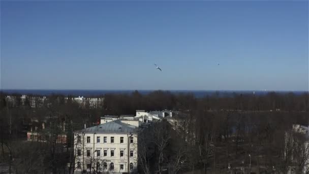 Fotografia aérea da lagoa vermelha em Nova Peterhof e a perspectiva do Golfo da Finlândia — Vídeo de Stock