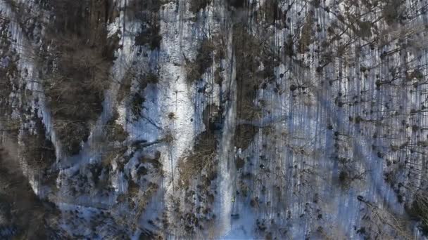 Felülnézet a téli erdőben. Légi felvétel — Stock videók
