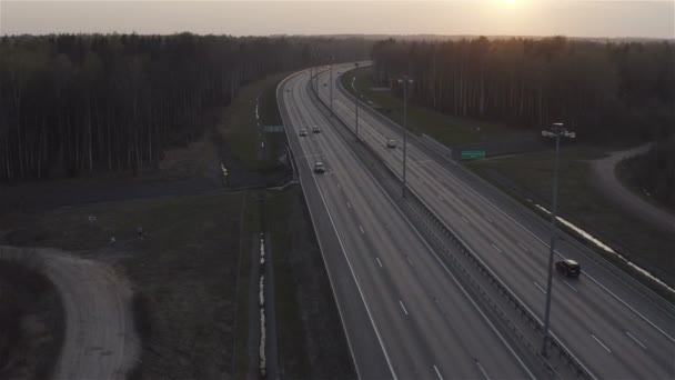 Via expressa corre ao longo de um bosque de bétula ao pôr do sol — Vídeo de Stock