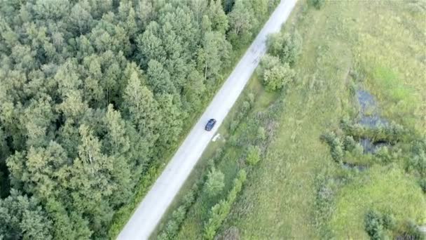 車は森の近くにある道路のストレッチを通過する — ストック動画