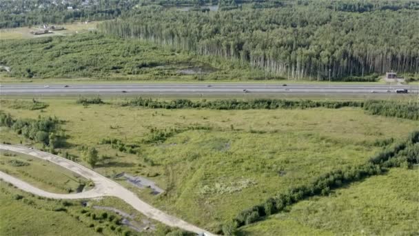 Birkenhain in der Nähe der Autobahn — Stockvideo