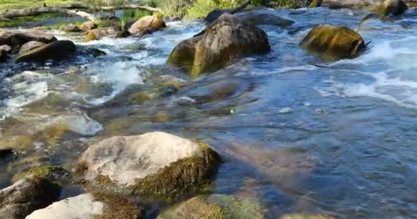 Temiz ve temiz tatlı su büyük taşlar ile akar — Stok video
