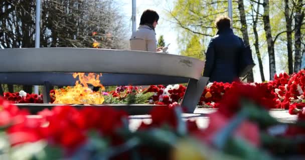 Veel kleuren gelegd rond de eeuwige vlam als een herinnering aan de grote patriottische oorlog — Stockvideo