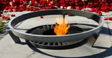ebedi alev yakınında beton bir levha üzerinde kırmızı karanfiller