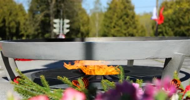 St. George linten en bloemen op de eeuwige vlam tegen de achtergrond van de vlag van Rusland — Stockvideo