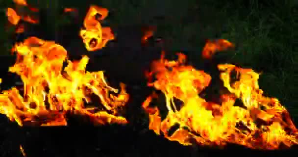 Сильный ветер раздувает пламя в жаровнях — стоковое видео