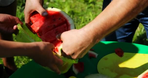Rode plakjes watermeloen worden na het snijden in een kom gestapeld — Stockvideo