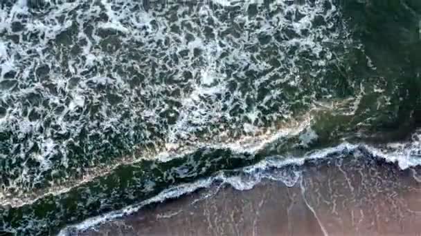 Abîme avec mousse faisant rage au large du rivage sablonneux — Video