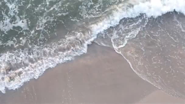Eine schäumende Meereswelle spült ein sandiges Ufer — Stockvideo