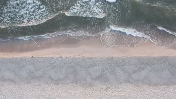 mousse blanche neige d'une vague de mer couvre sable côtier 